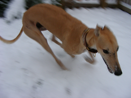 lovin' the snow one lap at a time.