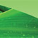 Green Egg Portfolio Detail